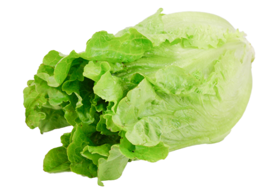 Calabrese Broccoli - Image 3